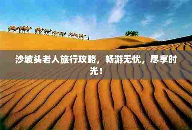 沙坡头老人旅行攻略，畅游无忧，尽享时光！