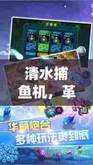 清水捕鱼机,革新捕鱼技术,百度带你探索奥秘