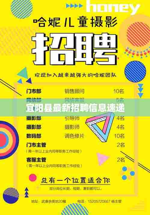 宜阳县最新招聘信息速递