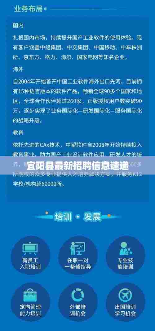宜阳县最新招聘信息速递