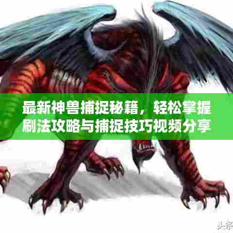 最新神兽捕捉秘籍,轻松掌握刷法攻略与捕捉技巧视频分享