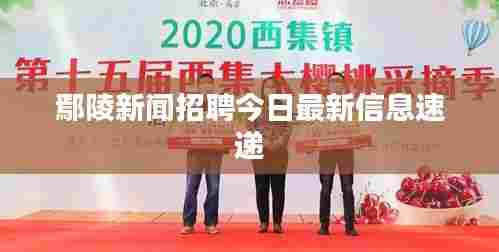 鄢陵新闻招聘今日最新信息速递