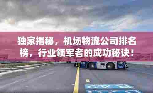 独家揭秘,机场物流公司排名榜,行业领军者的成功秘诀!