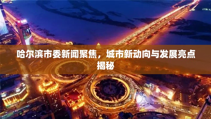 哈尔滨市委新闻聚焦,城市新动向与发展亮点揭秘