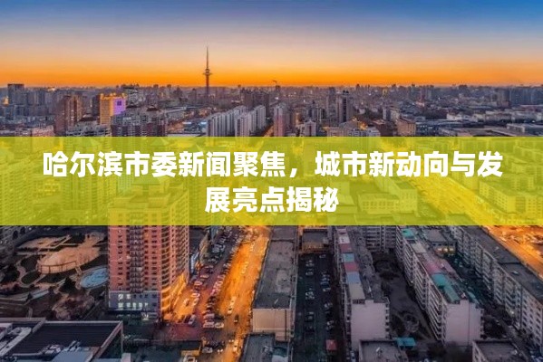 哈尔滨市委新闻聚焦,城市新动向与发展亮点揭秘