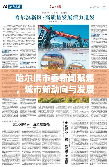 哈尔滨市委新闻聚焦,城市新动向与发展亮点揭秘