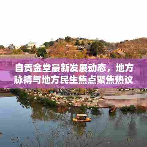 自贡金堂最新发展动态,地方脉搏与地方民生焦点聚焦热议