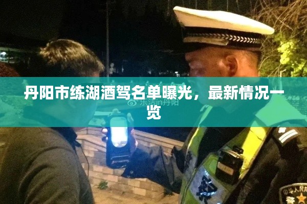 丹阳市练湖酒驾名单曝光,最新情况一览