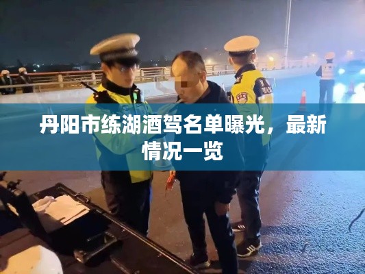 丹阳市练湖酒驾名单曝光,最新情况一览