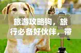 旅游攻略狗，旅行必备好伙伴，带你畅游世界！