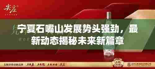 宁夏石嘴山发展势头强劲，最新动态揭秘未来新篇章