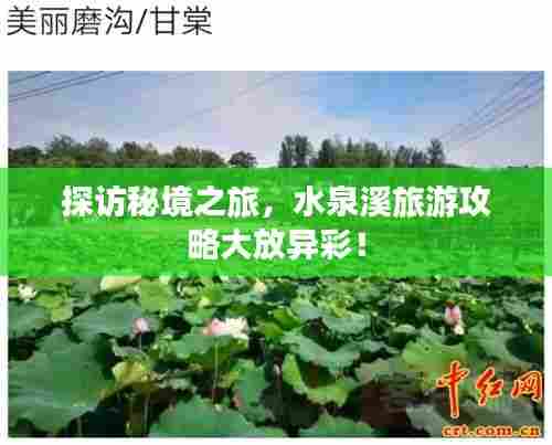 探访秘境之旅,水泉溪旅游攻略大放异彩!