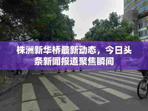 株洲新华桥最新动态,今日头条新闻报道聚焦瞬间