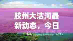 胶州大沽河最新动态,今日新闻头条汇总