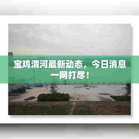 宝鸡渭河最新动态，今日消息一网打尽！