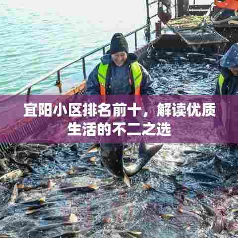 宜阳小区排名前十，解读优质生活的不二之选