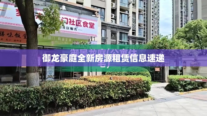 御龙豪庭全新房源租赁信息速递