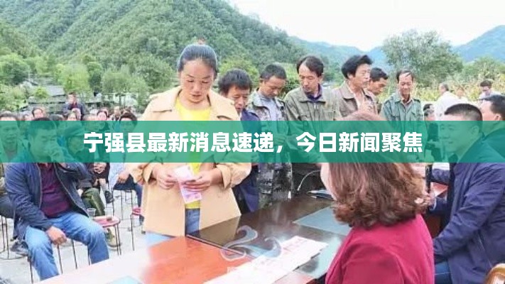 宁强县最新消息速递，今日新闻聚焦