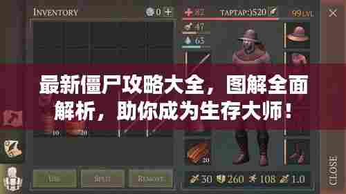 最新僵尸攻略大全,图解全面解析,助你成为生存大师!