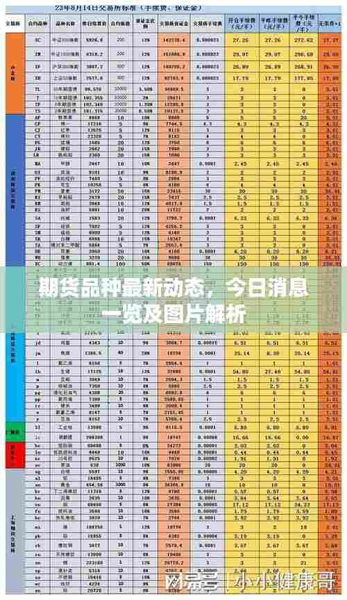 期货品种最新动态,今日消息一览及图片解析