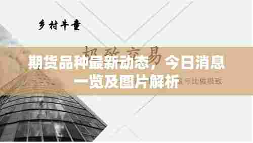 期货品种最新动态,今日消息一览及图片解析