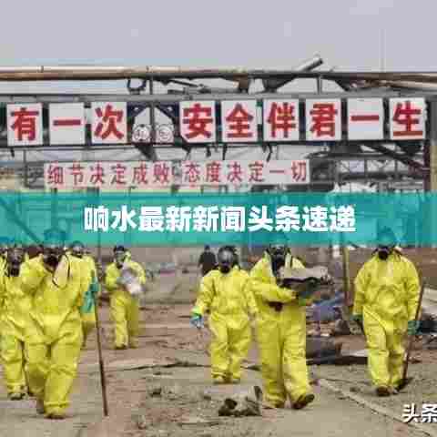 响水最新新闻头条速递