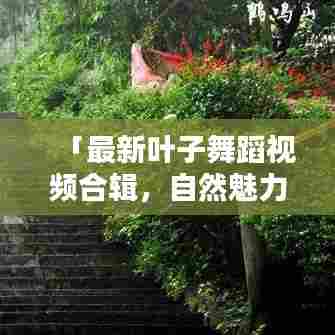 「最新叶子舞蹈视频合辑，自然魅力舞动之美」