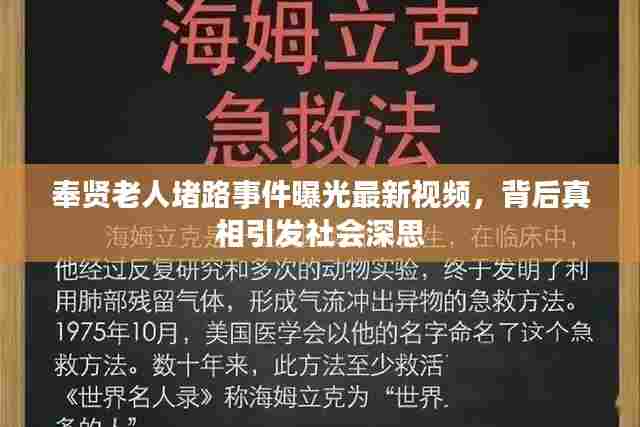 奉贤老人堵路事件曝光最新视频，背后真相引发社会深思