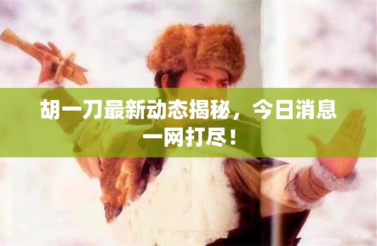 胡一刀最新动态揭秘,今日消息一网打尽!