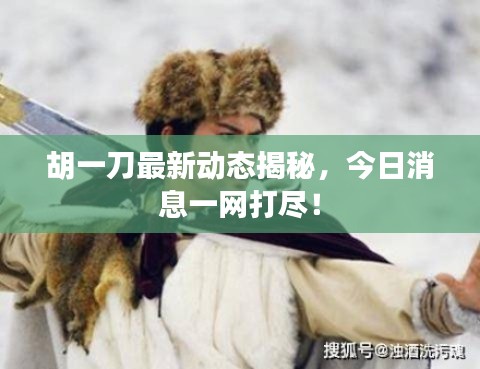 胡一刀最新动态揭秘,今日消息一网打尽!