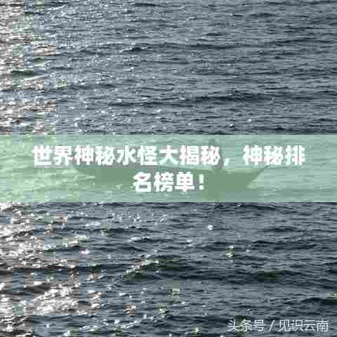 世界神秘水怪大揭秘，神秘排名榜单！