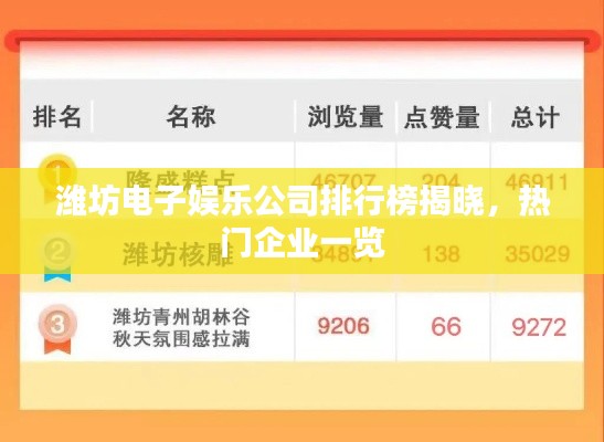潍坊电子娱乐公司排行榜揭晓,热门企业一览