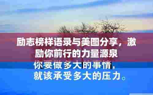 张三李四 第4页