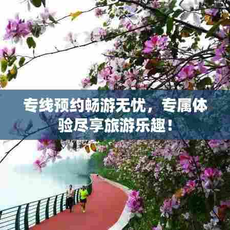 专线预约畅游无忧，专属体验尽享旅游乐趣！