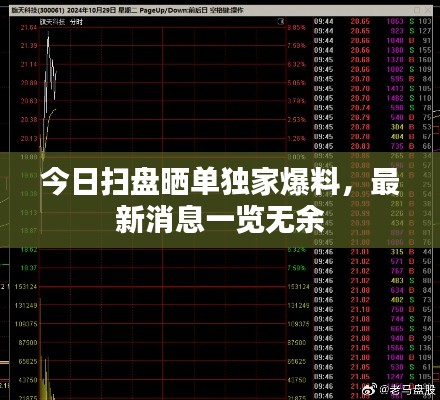 今日扫盘晒单独家爆料,最新消息一览无余