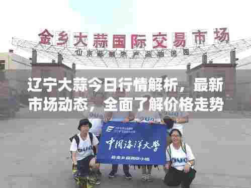辽宁大蒜今日行情解析,最新市场动态,全面了解价格走势!