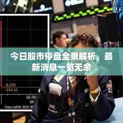 百鸟朝凤 第3页