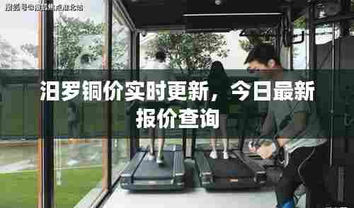 汨罗铜价实时更新,今日最新报价查询