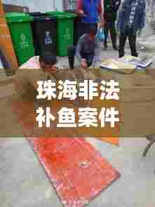 珠海非法补鱼案件最新进展，揭秘最新动态