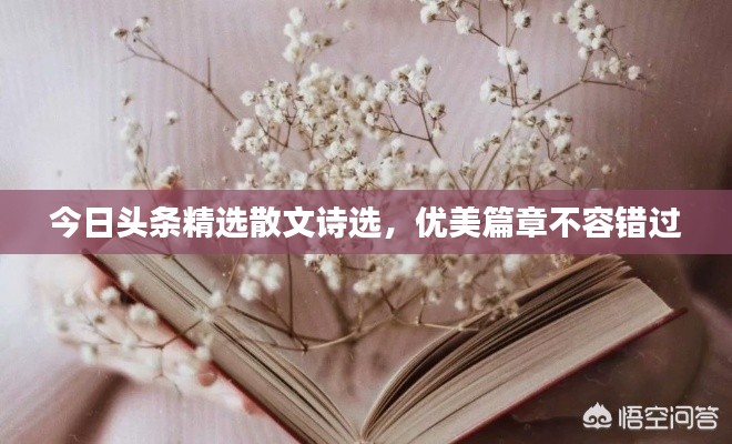 今日头条精选散文诗选,优美篇章不容错过