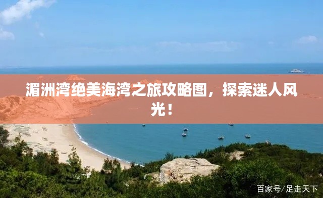 无影无踪 第3页