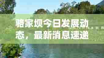 骆家坝今日发展动态，最新消息速递