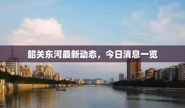 韶关东河最新动态,今日消息一览