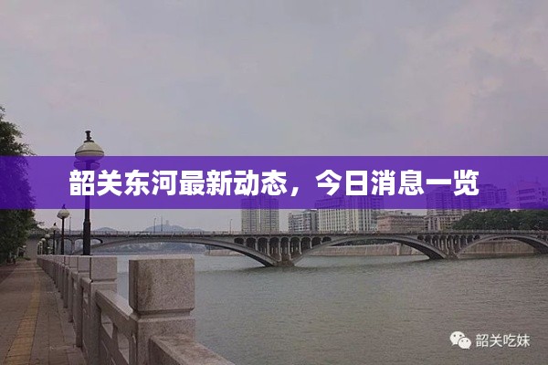 韶关东河最新动态,今日消息一览