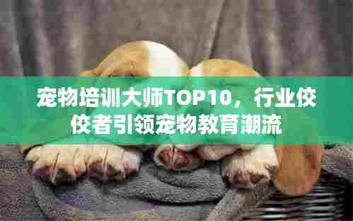 后会无期 第3页