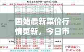 固始最新菜价行情更新,今日市场走势分析