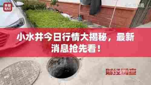 小水井今日行情大揭秘,最新消息抢先看!