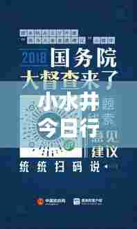 小水井今日行情大揭秘,最新消息抢先看!