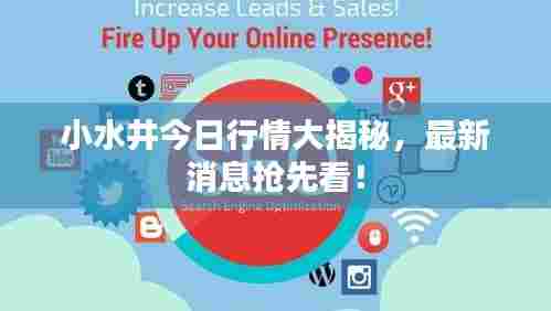 小水井今日行情大揭秘,最新消息抢先看!