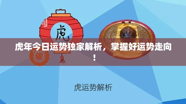 虎年今日运势独家解析，掌握好运势走向！